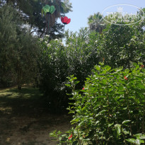 фото из отзыва ID 2735836