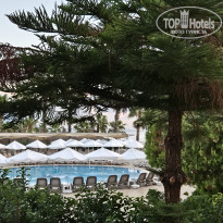 фото из отзыва ID 2735845