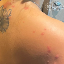 фото из отзыва ID 2735861