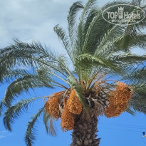 фото из отзыва ID 2735888