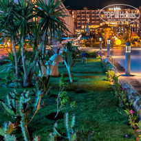 фото из отзыва ID 2735918