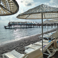 фото из отзыва ID 2735930