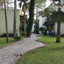 фото из отзыва ID 2735930