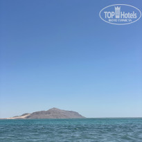 фото из отзыва ID 2735938