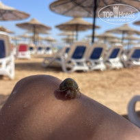 фото из отзыва ID 2735938