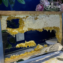 фото из отзыва ID 2735966