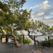 фото из отзыва ID 2735966