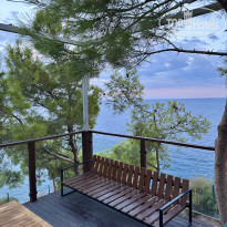 фото из отзыва ID 2735966