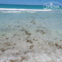 фото из отзыва ID 2735974