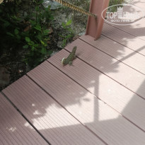 фото из отзыва ID 2735974