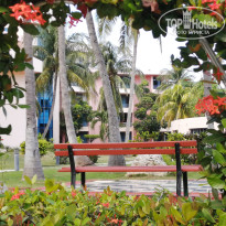 фото из отзыва ID 2735974