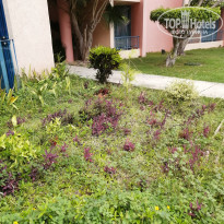 фото из отзыва ID 2735974