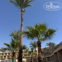 фото из отзыва ID 2735975