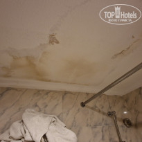 фото из отзыва ID 2736003