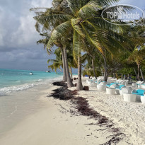 фото из отзыва ID 2736001