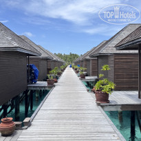 фото из отзыва ID 2736001