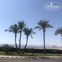 фото из отзыва ID 2736010