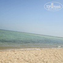 фото из отзыва ID 2736046