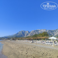 фото из отзыва ID 2736057