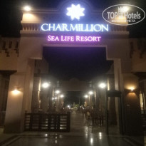 фото из отзыва ID 2735673