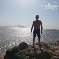 фото из отзыва ID 2735673