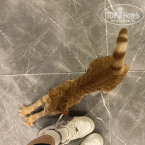 фото из отзыва ID 2736070