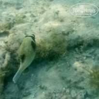 фото из отзыва ID 2735673