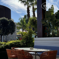 фото из отзыва ID 2736114