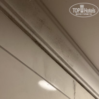 фото из отзыва ID 2736135