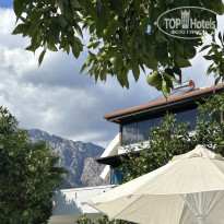 фото из отзыва ID 2736135