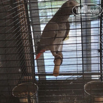 фото из отзыва ID 2735032