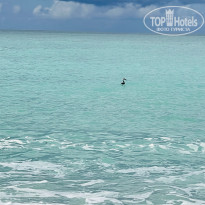 фото из отзыва ID 2736175