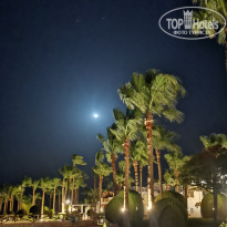 фото из отзыва ID 2736180