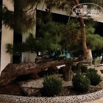 фото из отзыва ID 2736181