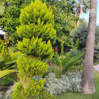 фото из отзыва ID 2736181