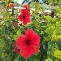 фото из отзыва ID 2736181