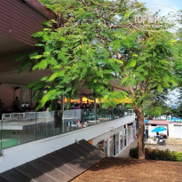 фото из отзыва ID 2736194