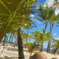 фото из отзыва ID 2736213