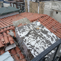 фото из отзыва ID 2736221