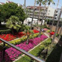 фото из отзыва ID 2736226