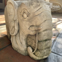 фото из отзыва ID 2736241