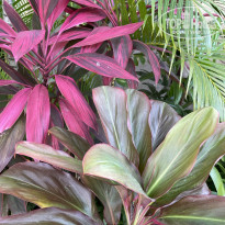 фото из отзыва ID 2736241