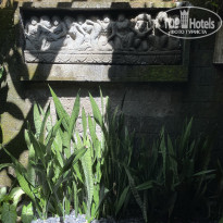 фото из отзыва ID 2736241