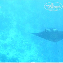 фото из отзыва ID 2736257