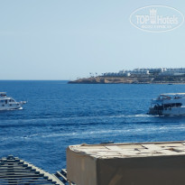 фото из отзыва ID 2736257