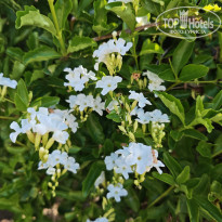 фото из отзыва ID 2736256