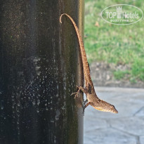 фото из отзыва ID 2736256