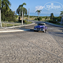 фото из отзыва ID 2736256