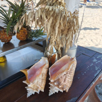 фото из отзыва ID 2736256