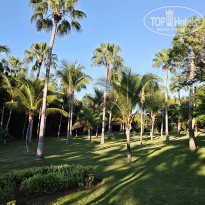 фото из отзыва ID 2736256